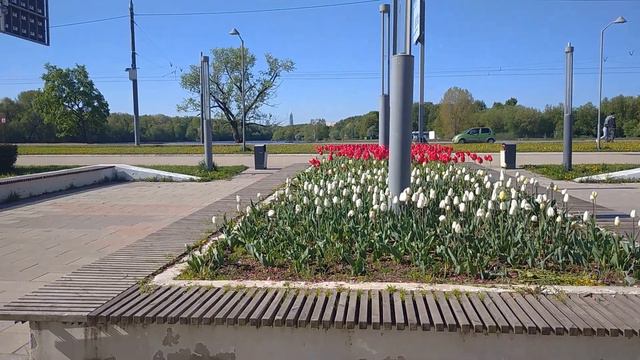 В Тимирязевском и Коптево районах Москвы, погода отличная! смотреть онлайн