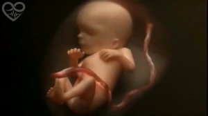 9 месяцев беременности за 4 минуты