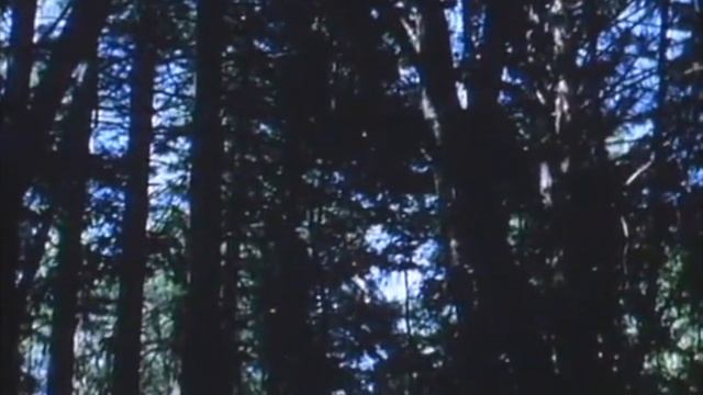 Ebenezer K. Bartholomu Scenes From Spirit Of Seventy Sex (1976)