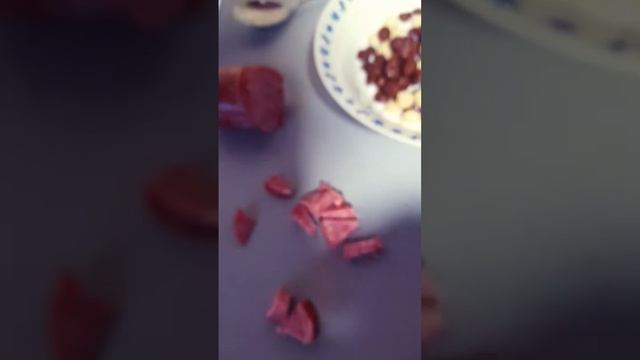 рецепт как приготовить кошке еду когда у вас нету корма смотреть онлайн