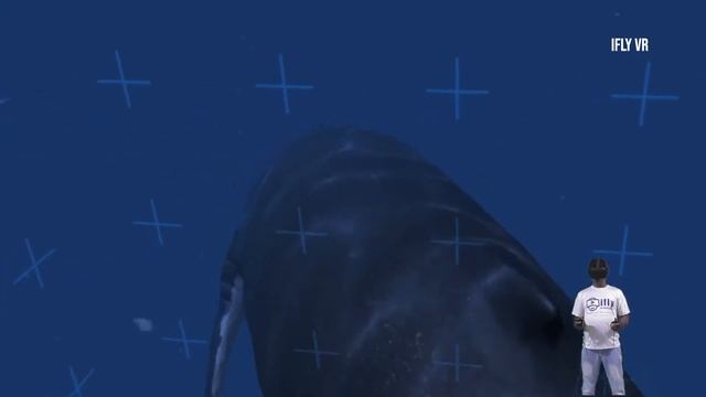 Ocean Rift VR Under Water Sea Animals Oculus Quest 2 смотреть онлайн