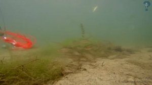 Октопус Силиконовая Приманка для Рыбалки???