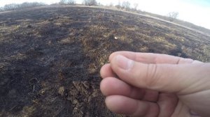 Мои настройки фишер ф 75