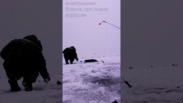 корюшка блесна электронная смотреть онлайн