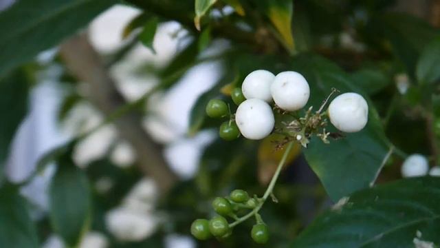 panasonic lumix dmc-gf2 test footage 14-42mm lens смотреть онлайн