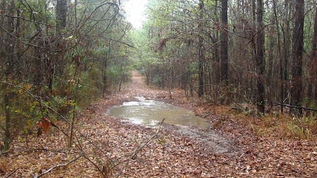 2013 Polaris Sportsman 850 XP EPS Riding Through Giant Puddle on Trail смотреть онлайн
