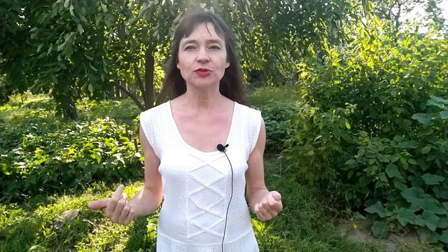 Почему восстановление организма нужно начинать с реабилитации желудочно-кишечного тракта смотреть онлайн