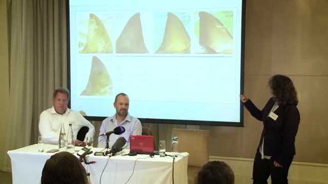 Press-conference: South Africa’s great white sharks heading for extinction смотреть онлайн