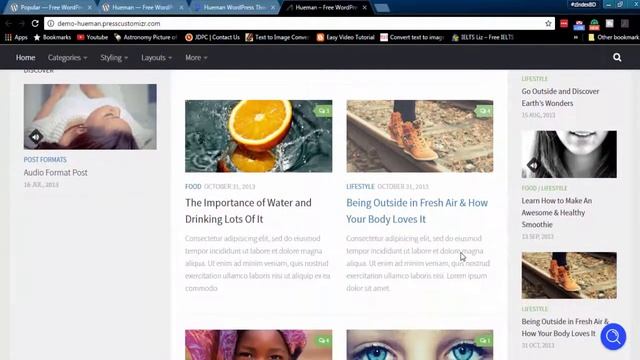 Hueman Free WordPress Theme Features and Download Link смотреть онлайн