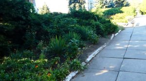 Пансионат "Радуга" поселок Урзуф. Гуляем по Радуге