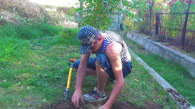 4 Вот он какой красавец (1).mp4 смотреть онлайн