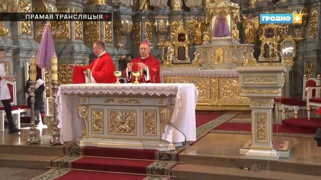 СВЯТАЯ IМША ВЕРБНАЙ НЯДЗЕЛИ. ТРАНСЛЯЦЫЯ З ФАРНАГА КАСЦЁЛА смотреть онлайн