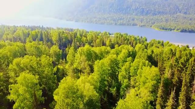#24 Нежная лечебная музыка здоровья и для успокоения нервной системы, глубокого релакса Music Stres смотреть онлайн