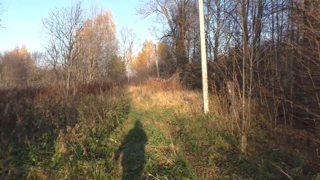 Продается крепкий дом в тихой деревне. Заброшенные дома. Деревни в глубинке России. Купить дом. смотреть онлайн