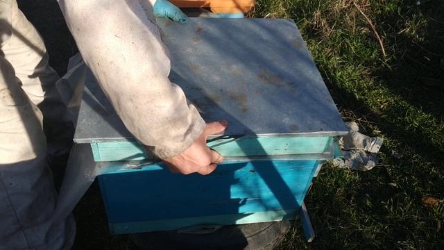 Ранний старт. Перга и сжатие.