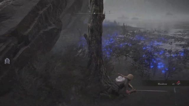 Elden Ring How to Open Academy Gate Rune Meeting Place Map Solution Raya Lucaria Glintstone Key смотреть онлайн