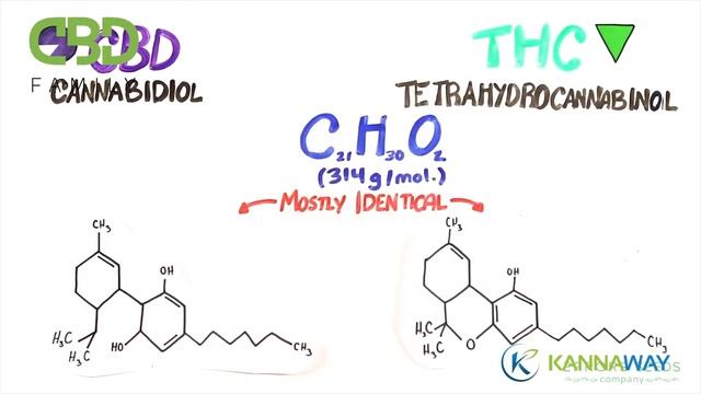 Что такое Каннабидиол CBD? смотреть онлайн