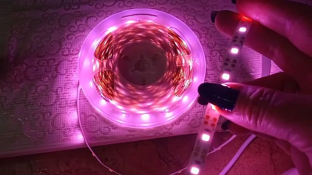 В подарок растениям-фитолента. смотреть онлайн