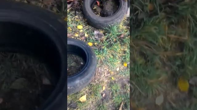 Резина Премиори, делайте выводы. смотреть онлайн