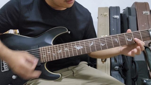 ทดสอบเสียง Schecter Damein Platinun 8 สาย смотреть онлайн