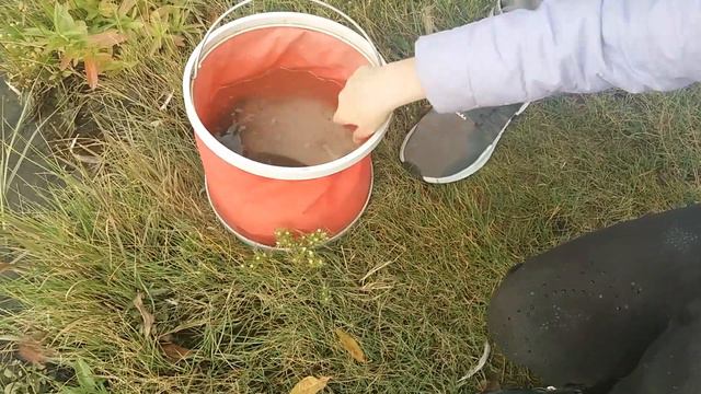 Релиз! Зарыбление реки, Ак булак!!! Карась запущен в реку! Не пропустите! смотреть онлайн