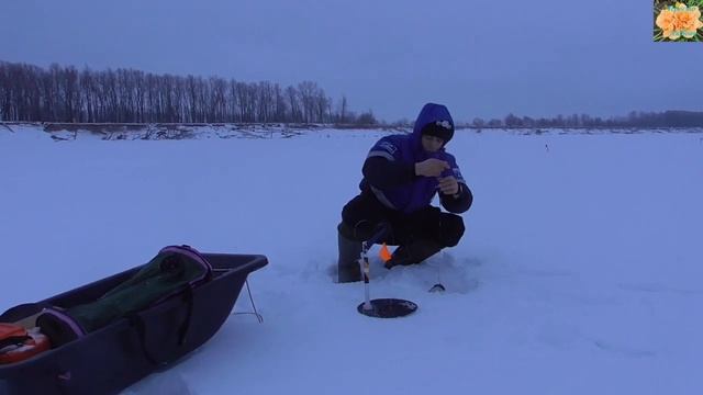 Рыбалка на реке Иртыш это круто смотреть онлайн