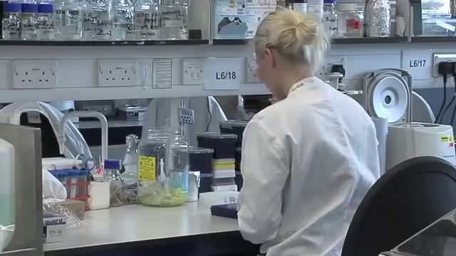 Celebrating the life and legacy of David Livingstone смотреть онлайн