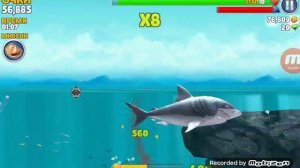 Как найти Мифического окуня в игре Hungry shark Evo.