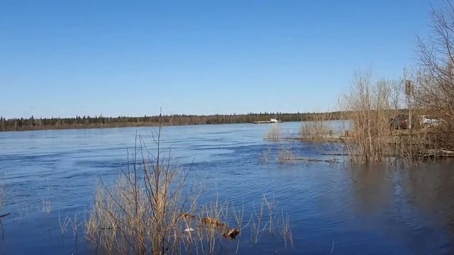 Река Печора 12 мая 2020г. смотреть онлайн