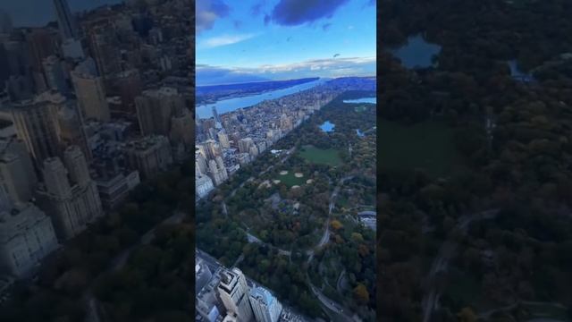 Нереальный вид на Центральный парк, Нью-Йорк. смотреть онлайн