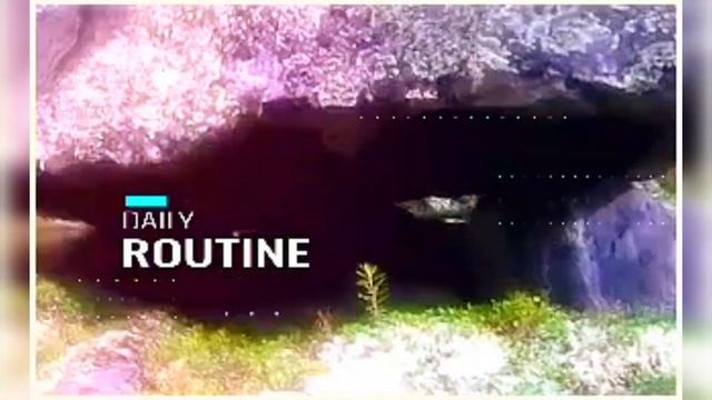 Брат - Remix « Моё Имя - Стершийся Ироглиф » Торба - На Круче Ремикс 兄弟 смотреть онлайн