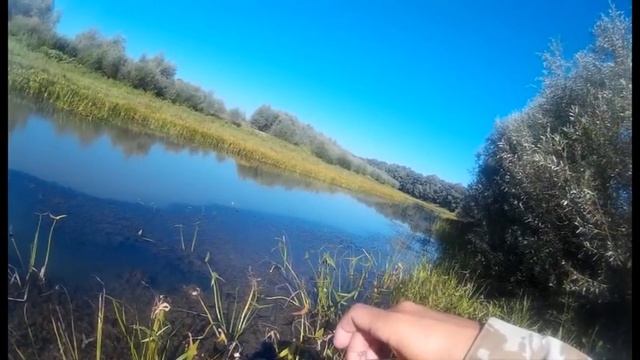 Десна:крылатый джиг на плоские приманки! смотреть онлайн