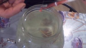 Сверхчувствительный поплавок из гусиного пера