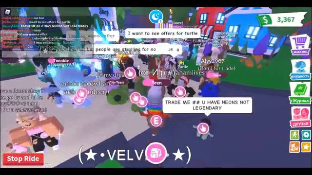 Трейды на Кенгуру