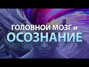 Головной мозг и сознание. #Сознание #головнойМозг #Гарат #школаСорадение