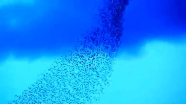 Verano (no Porteño),yes from DC. Not Piazzolla but Trifilio Tango Trio :) смотреть онлайн