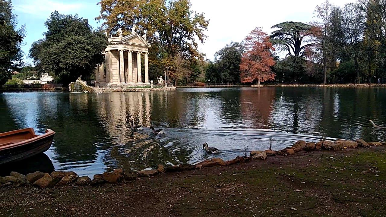 Гуси в парке Боргезе смотреть онлайн