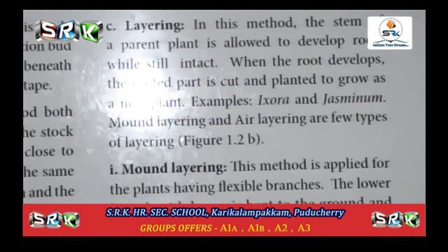 S.R.K 12th ONLINE CLASS - BOTANY смотреть онлайн