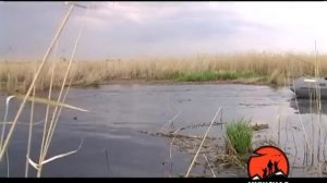 ловля крупного карася с лодки на поплавочную удочку в камыше