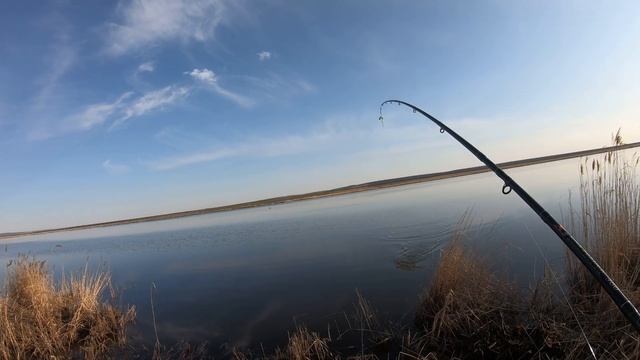 ЗДЕСЬ ВАЛОМ КАРАСЯ, ПОЙМАЕТ КАЖДЫЙ!!! КАРАСЬ НА УДОЧКУ, ФИДЕР. ОТКРЫТИЕ ЛЕТНЕГО СЕЗОНА 2023 г. смотреть онлайн