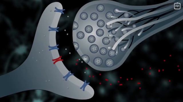 Пситеррор. Новый формат 5. Как отключить мозг с помощью звука. смотреть онлайн