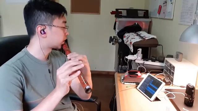 Despacito | 笛子 Dizi cover смотреть онлайн