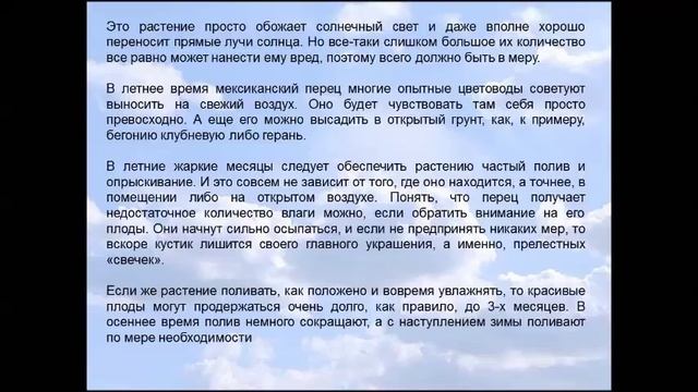 Капсикум. Мексиканский стручковый перец. смотреть онлайн