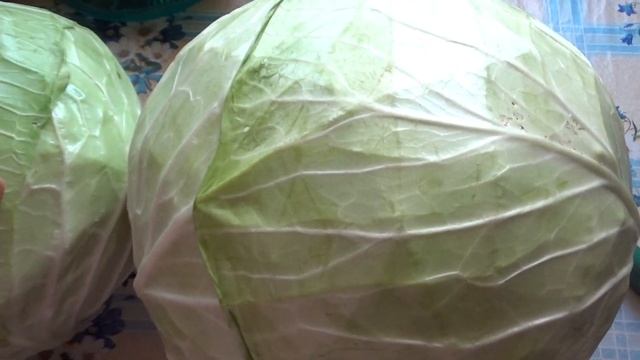 Каков он урожай капусты смотреть онлайн