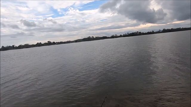 Bream On Gulp Sandworm