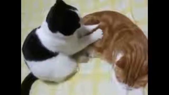 Делаю массаж, недорого !))) смотреть онлайн
