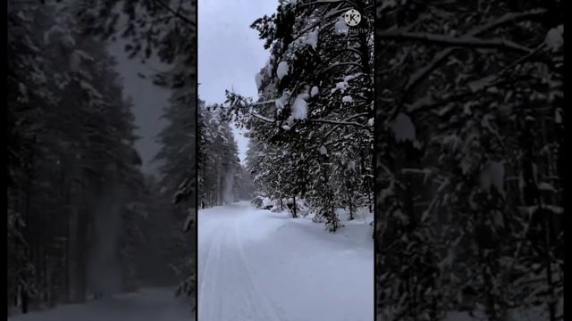 Опадало небо серое белым белым снегом.. смотреть онлайн