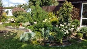 МЕЧТАЕТЕ о КРАСИВОМ ЦВЕТНИКЕ ??? ЦВЕТНИК который ПОТРЕБУЕТ МИНИМАЛЬНОГО ухода. Мой опыт. #garden