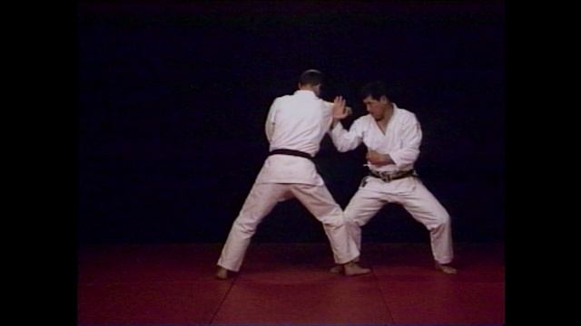 Kushanku and application by Sakagami sensei смотреть онлайн