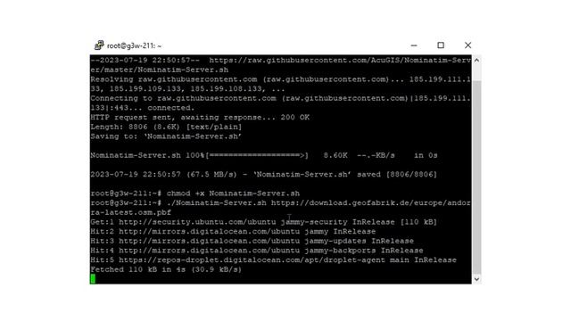 Build a Nominatim Server смотреть онлайн